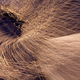 Image for article titled Motion Gallery 2